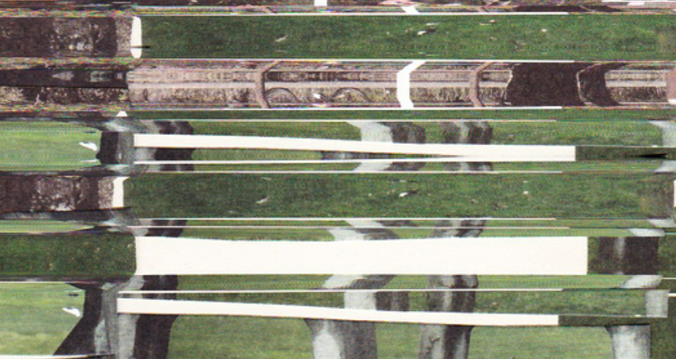 zoomed in section of the work.